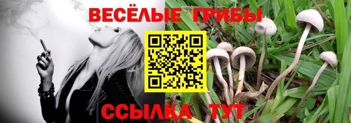 Псилоцибиновые грибы мицелий  Вход с VPN  Ахтубинск  Псилоцибиновые грибы мицелий 